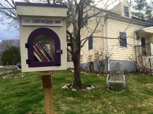 Tammylittle free library