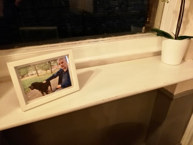 Distance shot of Trigger’s photo